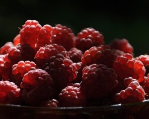 raspberries-1414155-m