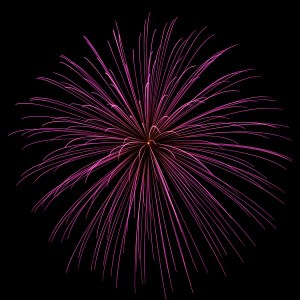 fireworks 1395843 m