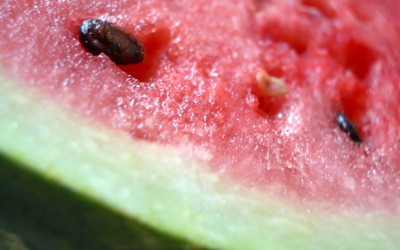 Watermelon Splash Cocktail