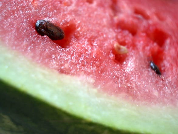 Watermelon Splash Cocktail