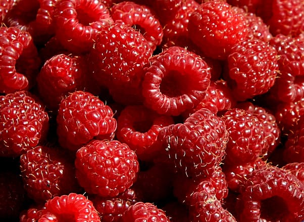 raspberries 1326681