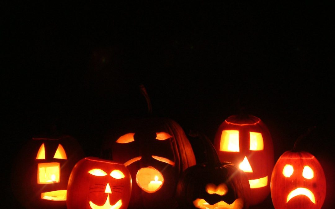 illuminating pumpkins 1468347
