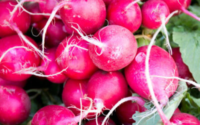 Eat, Support, and Enjoy the Inland Northwest Farmer’s Market!