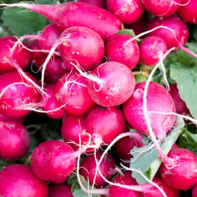 Farmer's Market